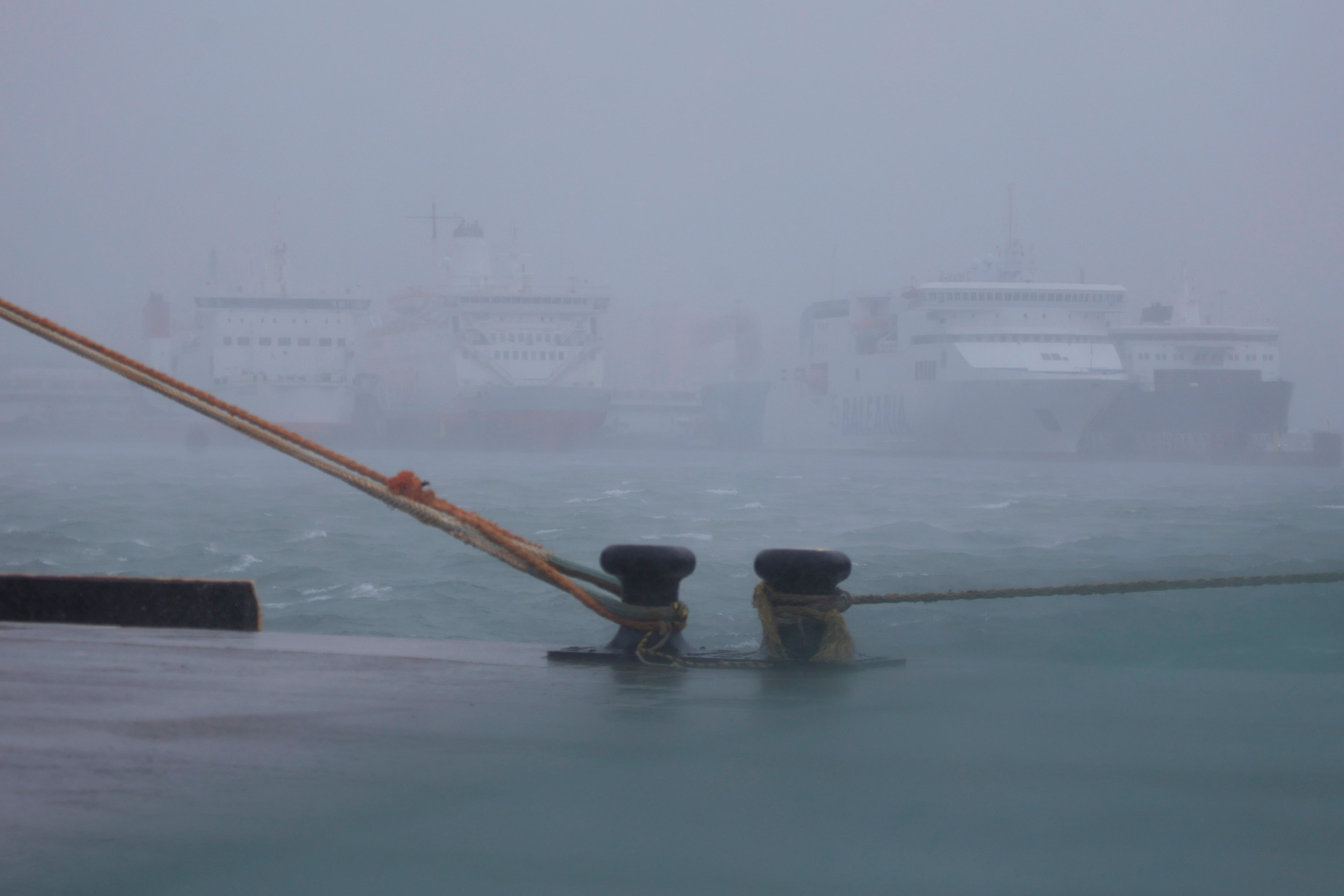 ALGECIRAS (CÁDIZ), 28/01/2026.- Varios ferries permanecen atracados en el puerto de Algeciras tras suspenderse las conexiones marítimas por el Estrecho de Gibraltar por el paso de la borrasca Kristin, este miércoles. EFE/ A. Carrasco Ragel