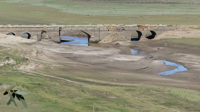 Estado de Charco Redondo el pasado 1 de noviembre