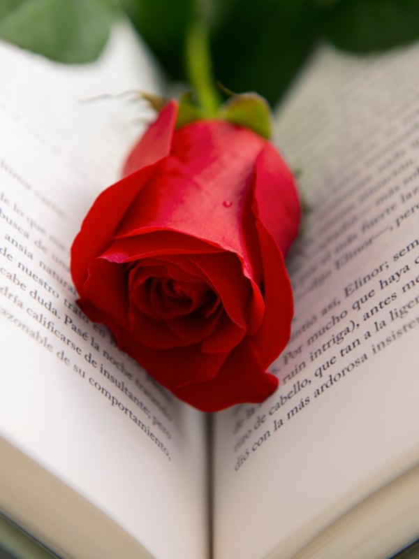 Fraga celebra también el Día del Libro