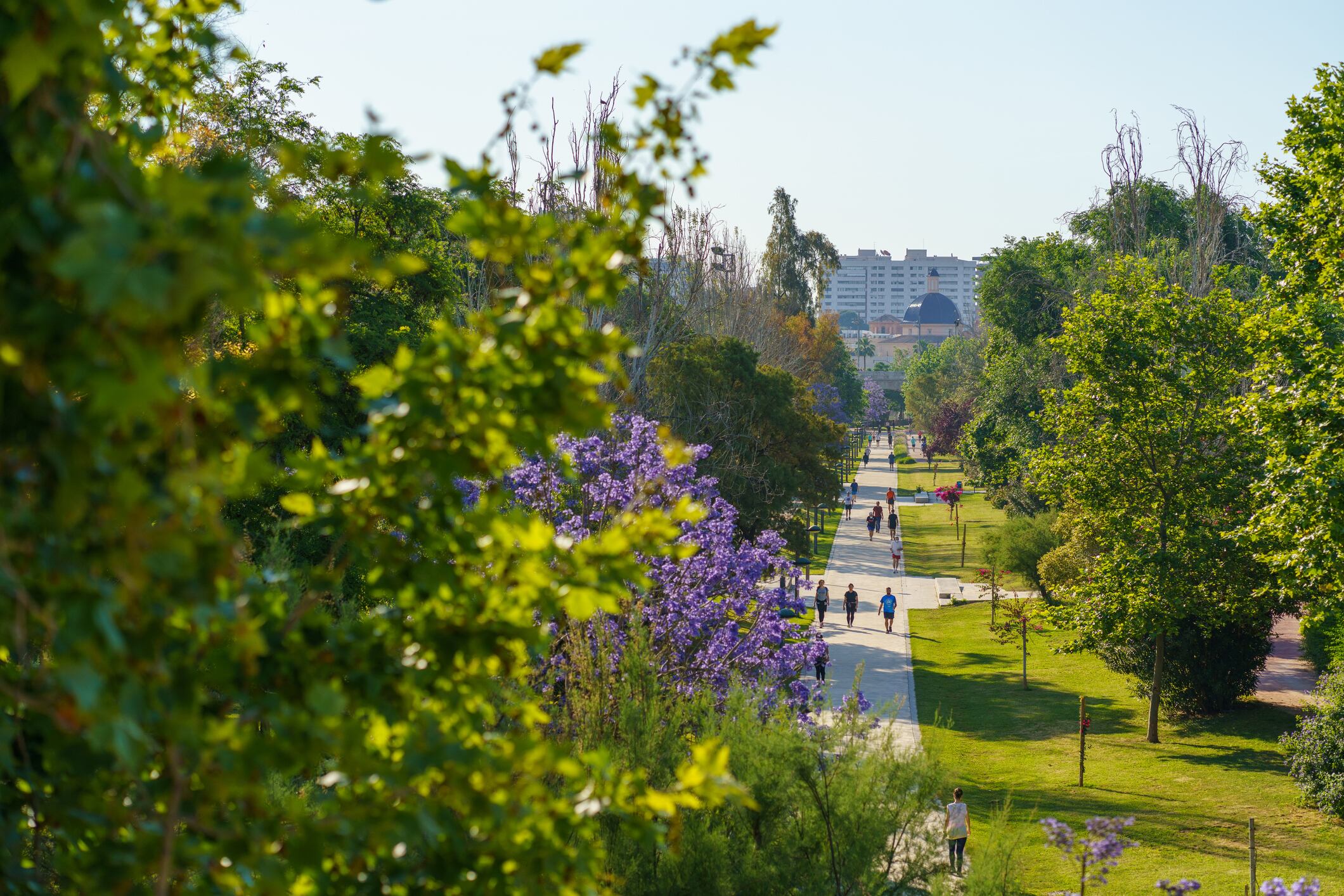 Imagen de archivo del Jardín del Turia de València