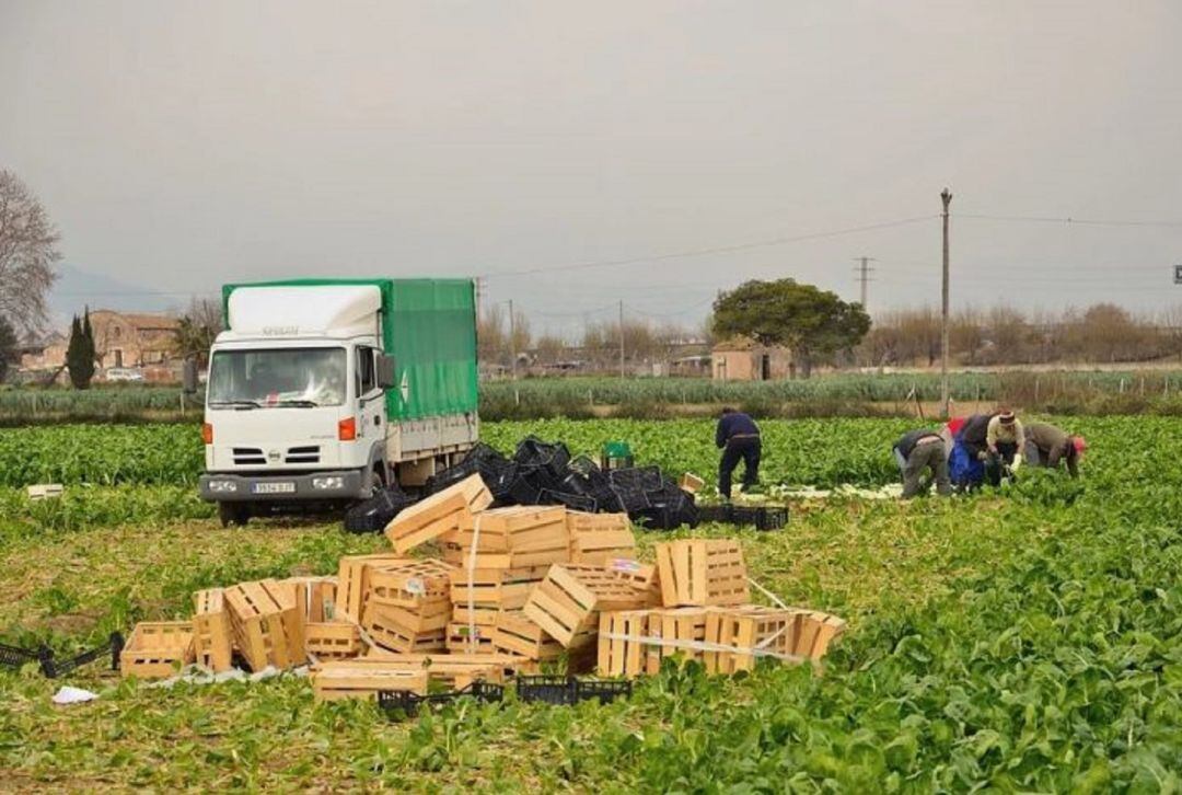 Detectan un foco en Francia entre temporeros contratados por una empresa española