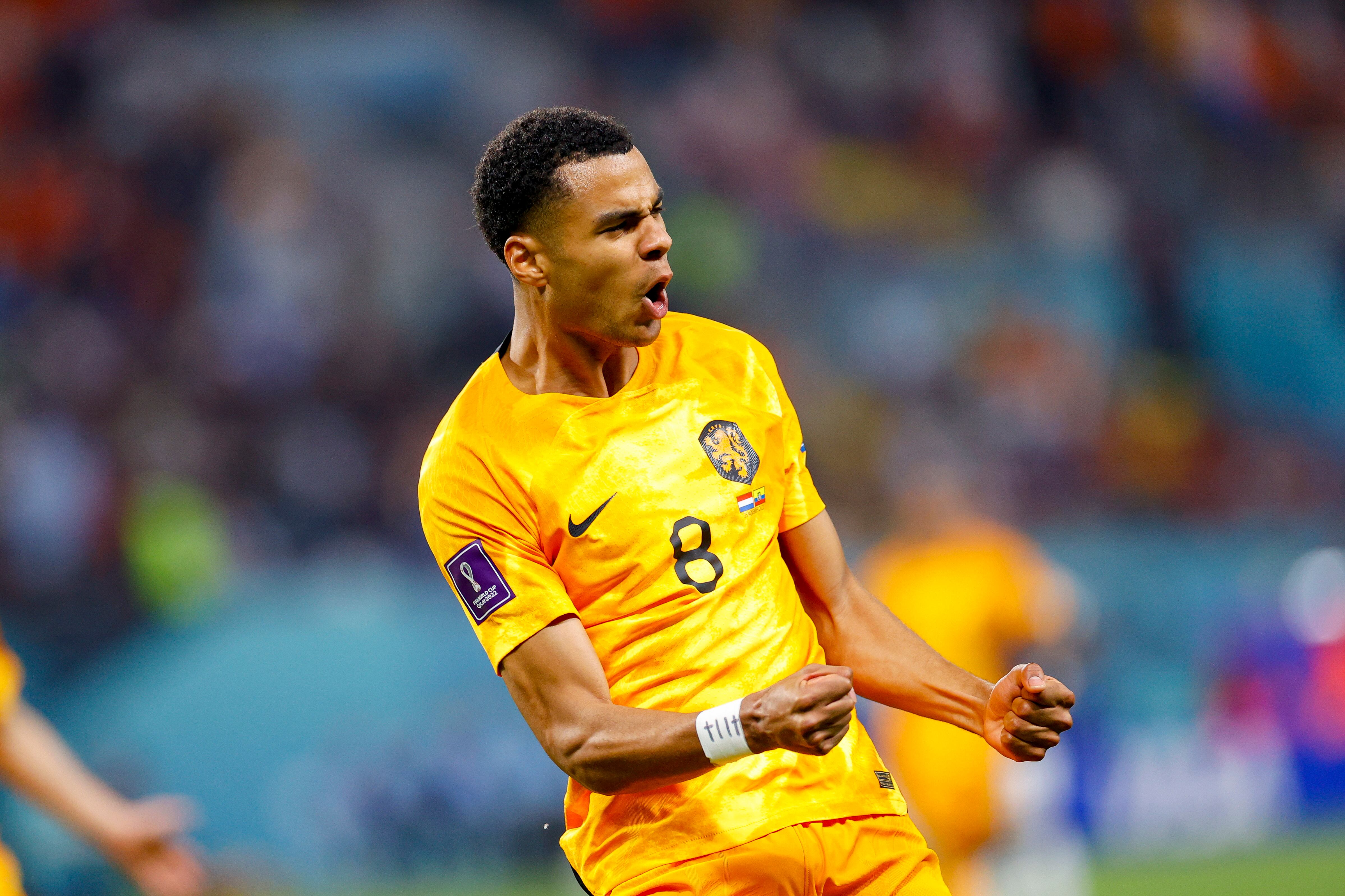 Cody Gakpo celebra su gol contra Ecuador