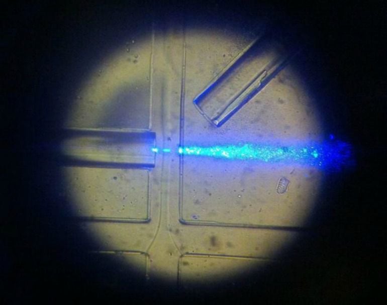 El dispositivo en funcionamiento: una fibra óptica ilumina una luz azul en la muestra, resaltando las células a medida que fluyen de izquierda a derecha.