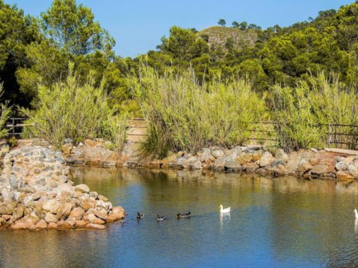 Estas Pascuas no se podrá acampar en La Toconera