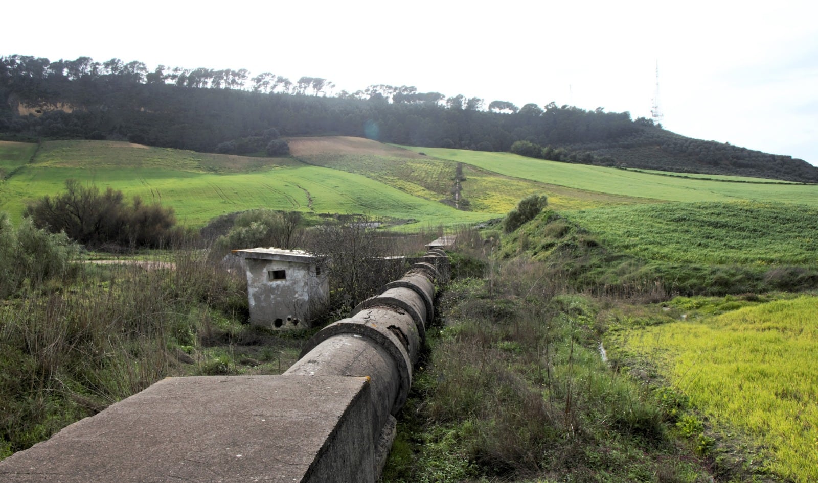 Recorrido por la Cañada del Carrillo