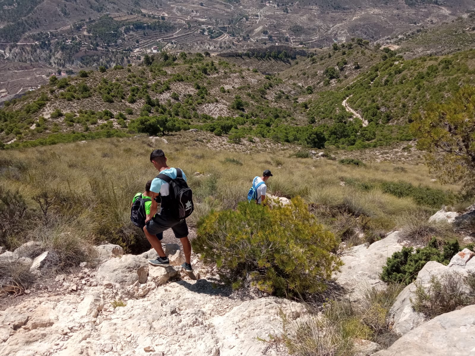 Voluntariado Ambiental en Petrer