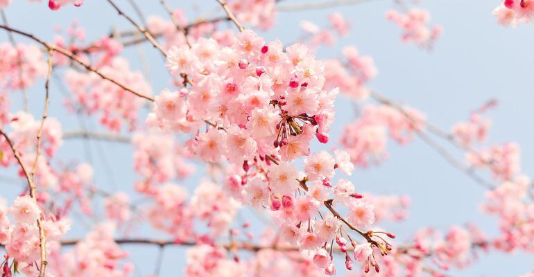 El país del sol naciente vive una revolución en lo que a relaciones íntimas se refiere