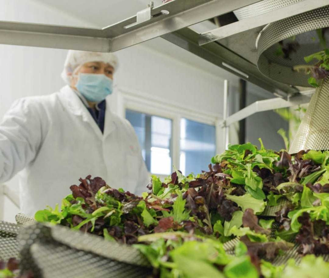 Patronal y sindicatos demandan más seguridad para los trabajadores del campo