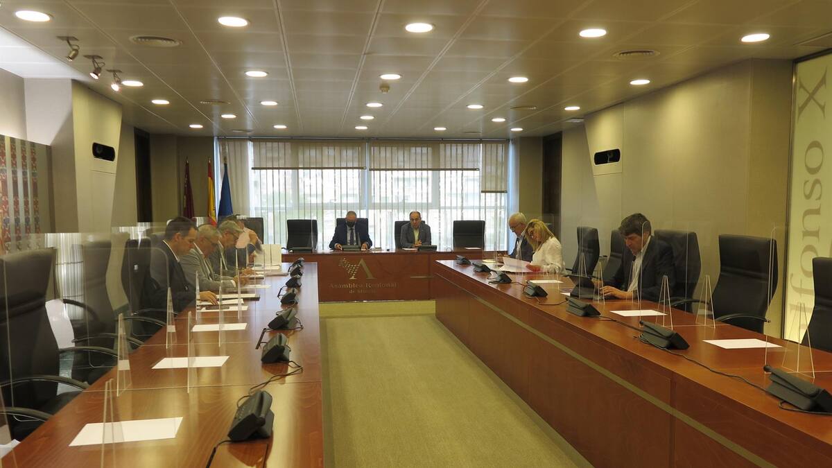 La Asamblea se persona en el recurso de inconstitucionalidad sobre la modificación del Reglamento de la Cámara que presentó Podemos