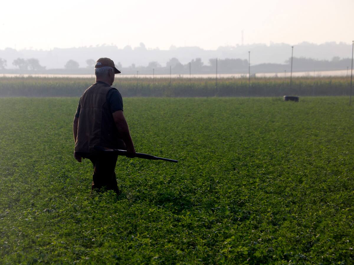 Capturats 4.500 conills al gener a la plana de Lleida, xifra rècord en un mes des de l'inici de l'emergència cinegètica