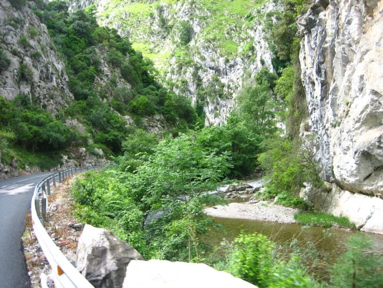 Carretera del Desfiladero de la Hermida. 