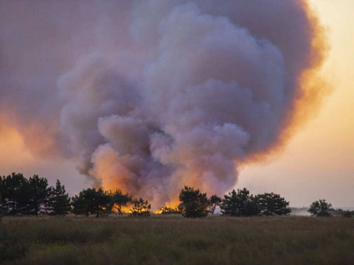 Un incendio accidental arrasa 57 hectáreas de superficie agrícola en Valoria del Alcor