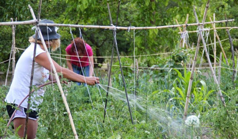 La tienda online Huertos Compartidos de Reforesta apuesta por un modelo sostenible de producción y consumo de productos ecológicos