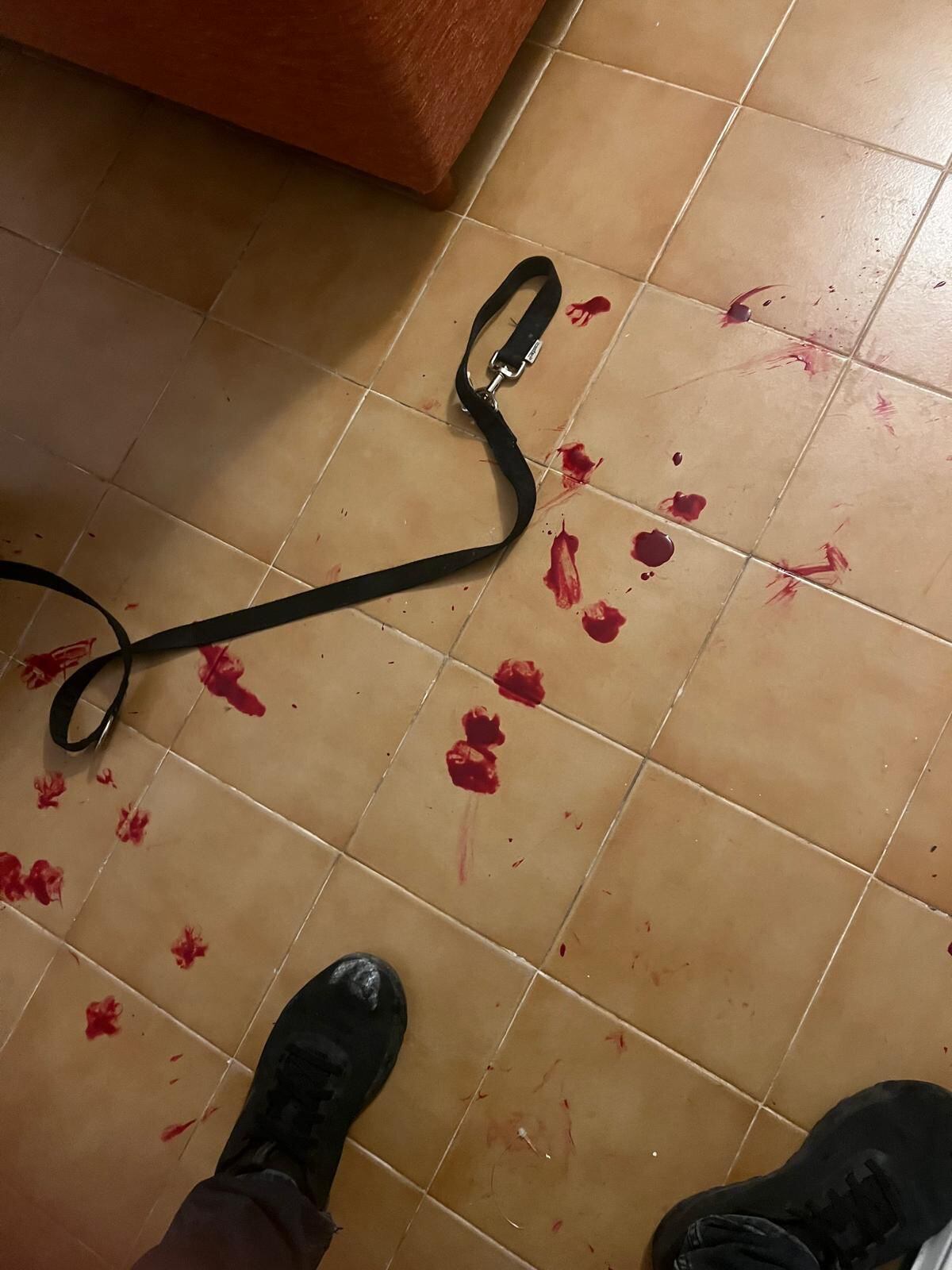 Senyals de sang després de l'atac