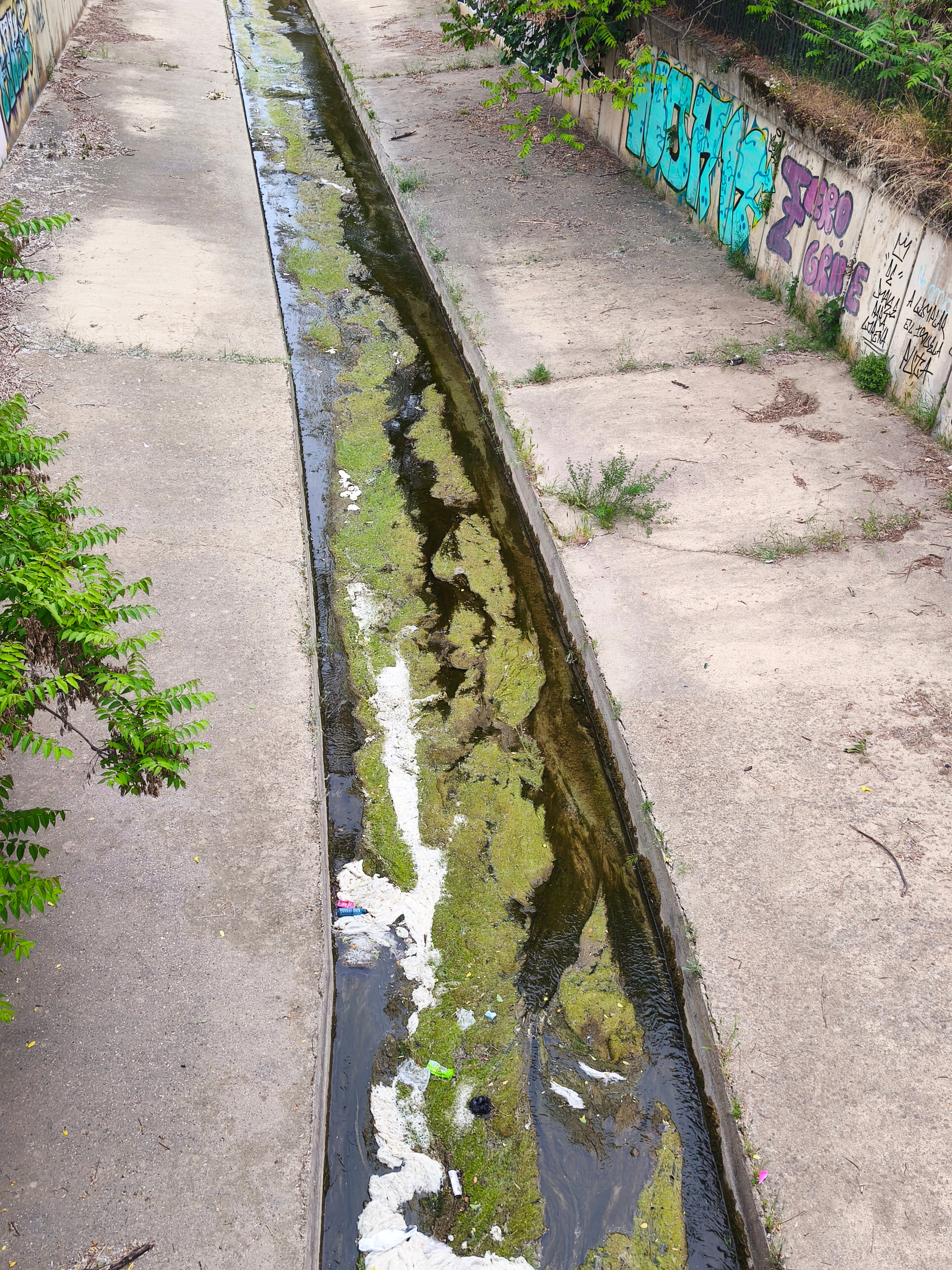 Imagen remitida por la formación del Río Isuela degradado.