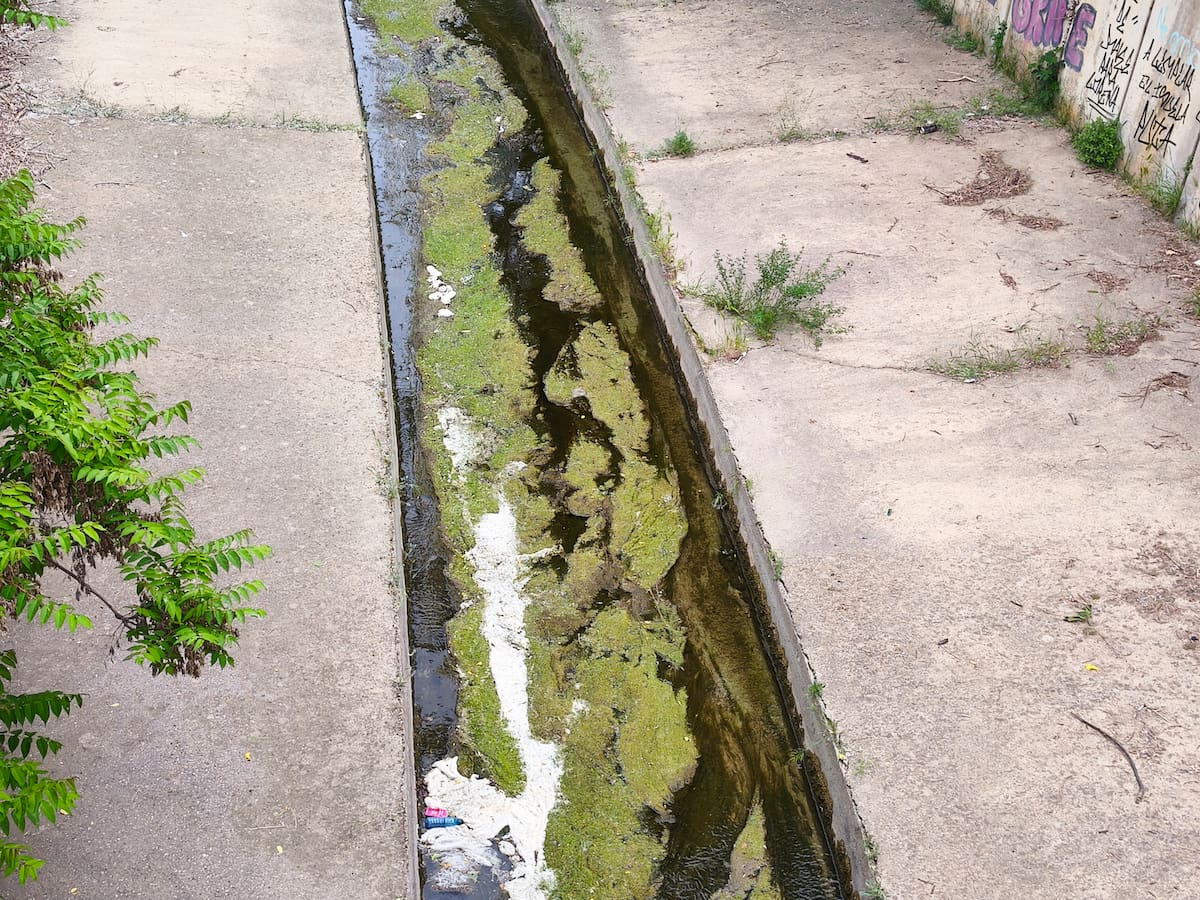 El Partido Verde exige "medidas urgentes" para garantizar el caudal ecológico del río Isuela y denuncia que está "al límite"