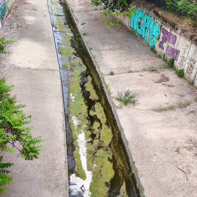Imagen remitida por la formación del Río Isuela degradado.