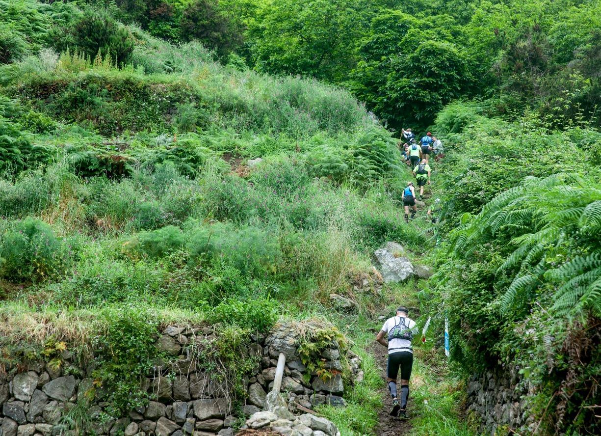 La edición de 2024 de la Tenerife Blue Trail recuperará la subida al Mirador del Asomadero.