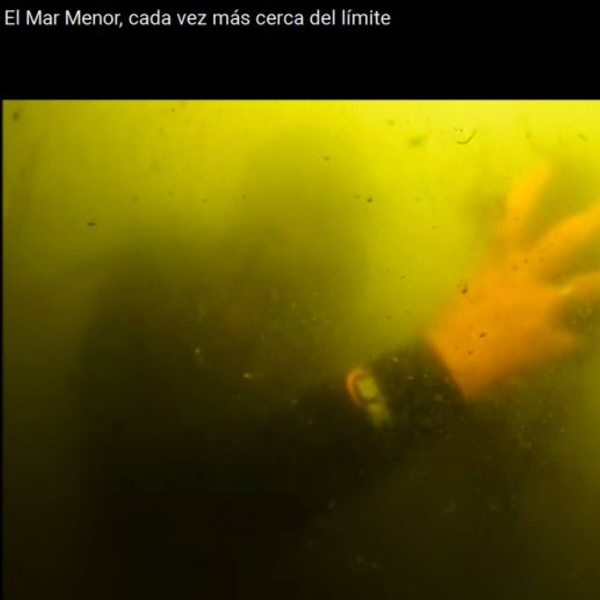 La gestión del Medio Ambiente en la Región de Murcia está estancada, según los ecologistas