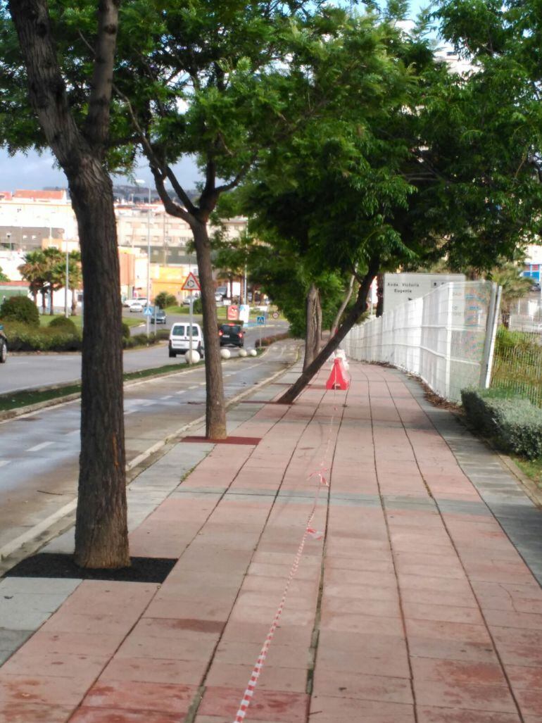 Escribe nuestro oyente &quot;Esto es la bajada de avda Carlos Cano entre rotonda del día y rotonda de Paco de Lucía .Un verdadero peligro para los peatones&quot;.