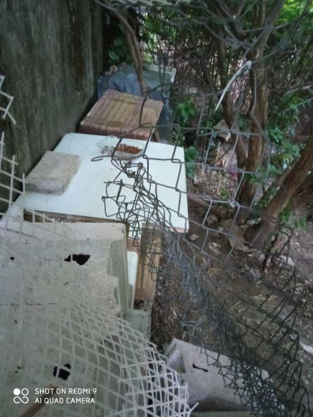 Estado de las zonas en las que se alojaban muchos gatos