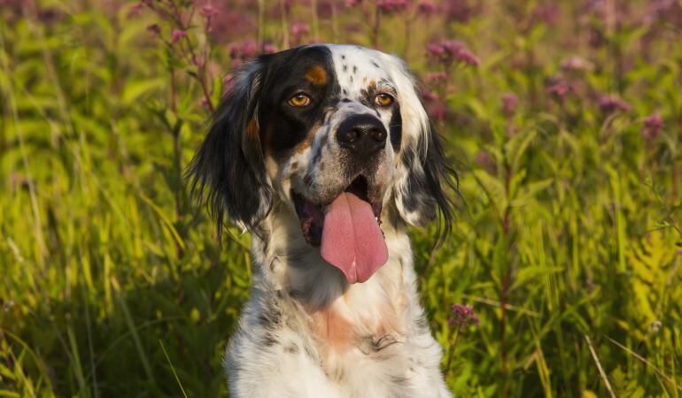 La mujer vence la batalla a la universidad.