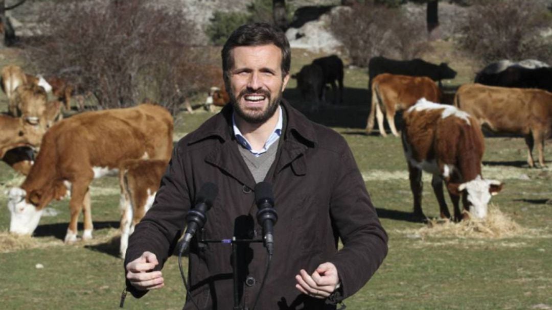 Casado visita este domingo una explotación de innovación agrícola en Villamartín (Palencia)