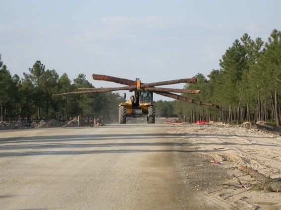 Imagen de las talas de árboles y la construcción de viales en el año 2007