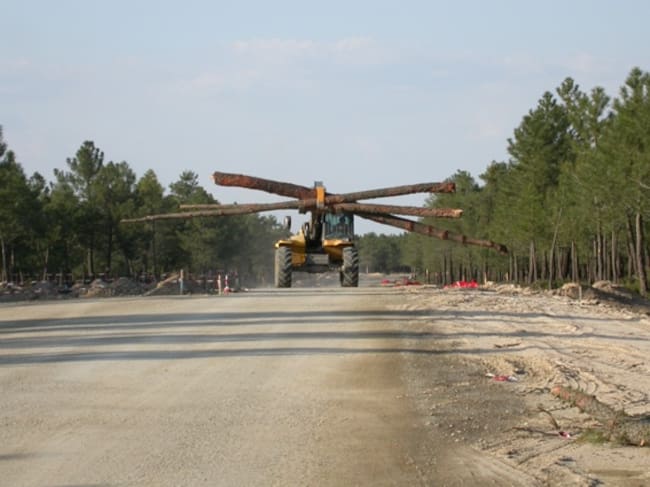 Imagen de las talas de árboles y la construcción de viales en el año 2007