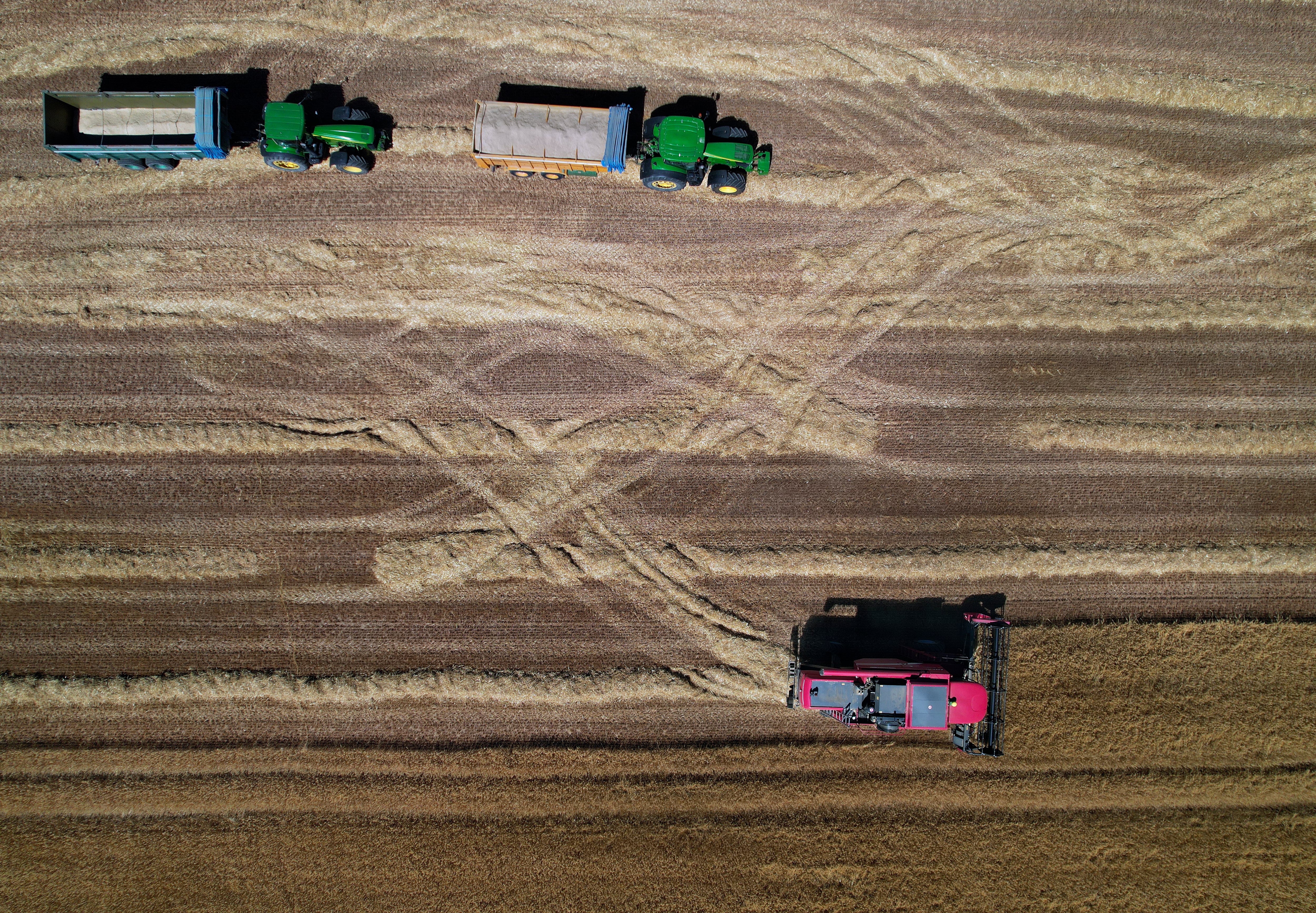 ECAY DE LONGUIDA, 04/07/2022.- Imagen tomada desde un dron de una máquina cosechadora mientras recoge cereal en un campo. Navarra endurece desde este lunes la normativa y prohíbe realizar trabajos agrícolas y forestales a partir de 35 grados. El Gobierno aprueba la orden foral para limitar los trabajos con maquinaria susceptible de generar incendios forestales. El Departamento de Desarrollo Rural y Medio Ambiente delimita así las situaciones de calor extremo a partir de las cuales no se pueden realizar trabajos agrícolas y forales. La nueva normativa plantea la inclusión de una serie de limitaciones a las labores agrícolas y forestales realizadas en periodo estival con maquinaria susceptible de generar incendios forestales (como cosechadoras, empacadoras, trituradoras de paja, bulldozer, retroexcavadoras, procesadoras y autocargardores forestales entre otras). EFE/ Jesús Diges