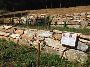 Muestra de las diferentes variedades de uva, en el Centro de Interpretación de la Vid y el Vino