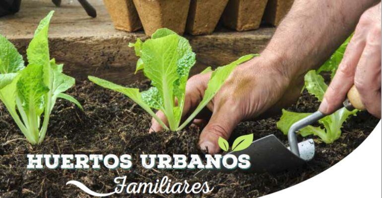 Huertos Urbanos de Tres Cantos