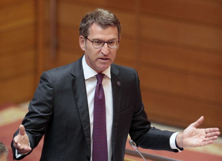 El presidente de la Xunta, Alberto Núñez Feijóo, durante su intervención al comienzo de la sesión de control en el Parlamento de Galicia, esta mañana en Santiago de Compostela