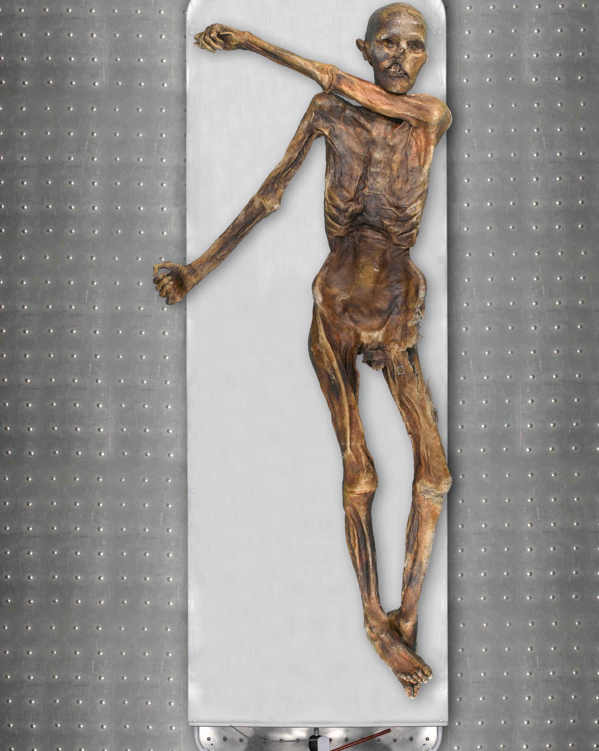 Ötzi, conocido como el Hombre de los Hielos, tiene más de 5.300 años de antigüedad y es la momia más antigua preservada en hielo que se conoce.