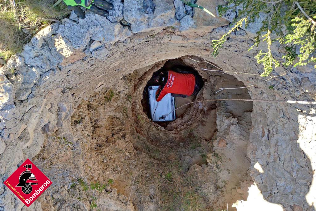 Momento del rescate del animal del pozo al que se había precipitado en Torrevieja