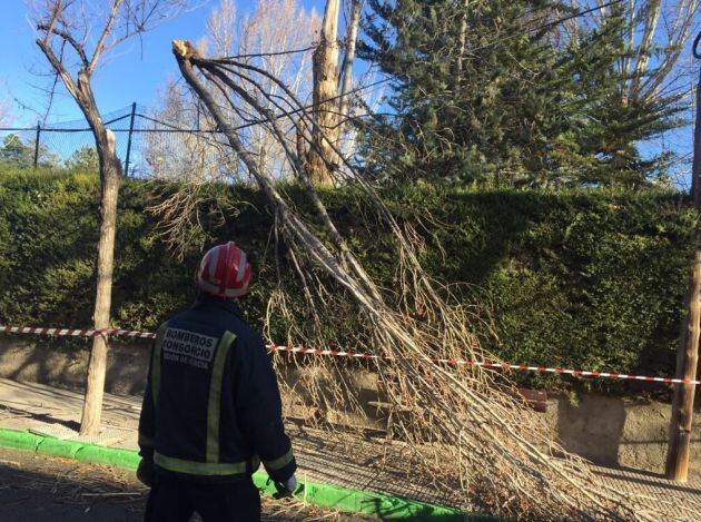 Los Bomberos de CEIS retirando rama caída en Caravaca de la Cruz