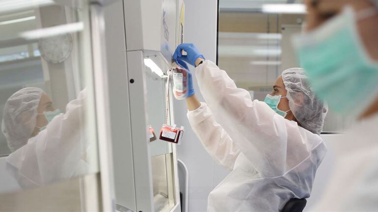 Processament d'una mostra de cèl·lules mare de cordó umbilical