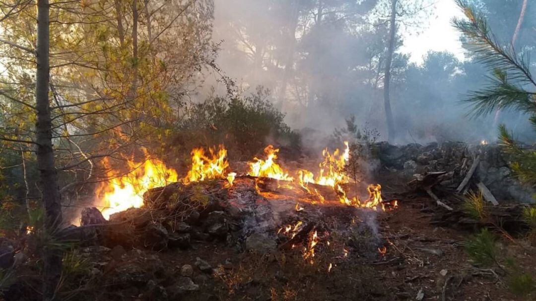 Incendios forestales