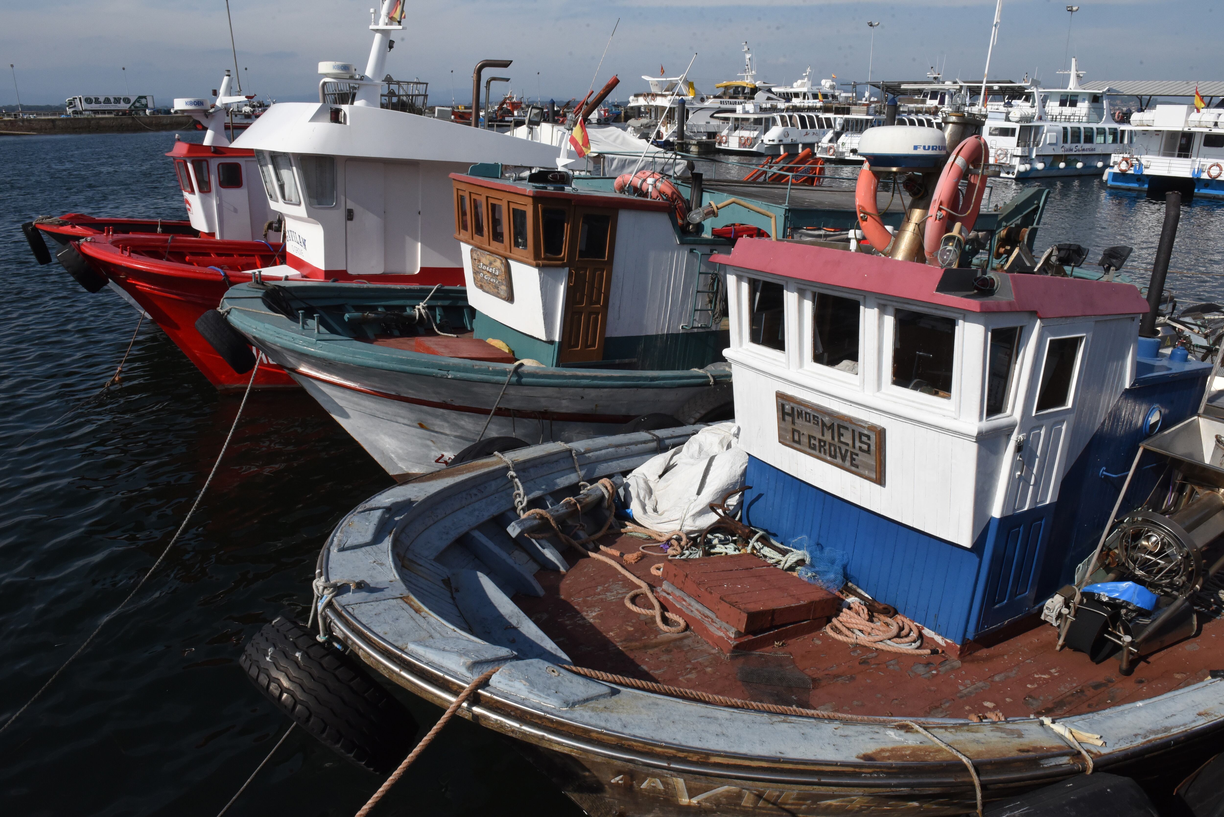 Barcos de pesca en el puerto de O Grove (Pontevedra).