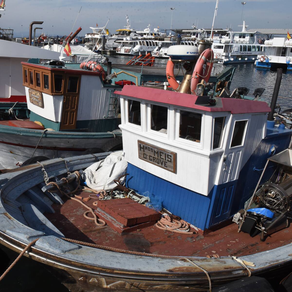 A campaña do polbo deixa insatisfeito ao sector