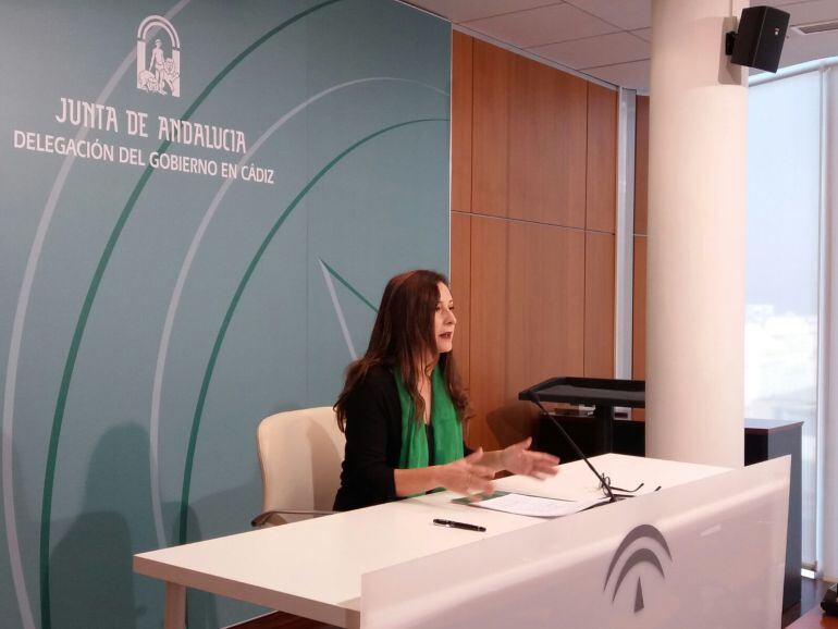 Remedios Palma, delegada territorial de la Consejería de Educación de la Junta de Andalucía, presentado el Plan de Infraestructuras de 2018