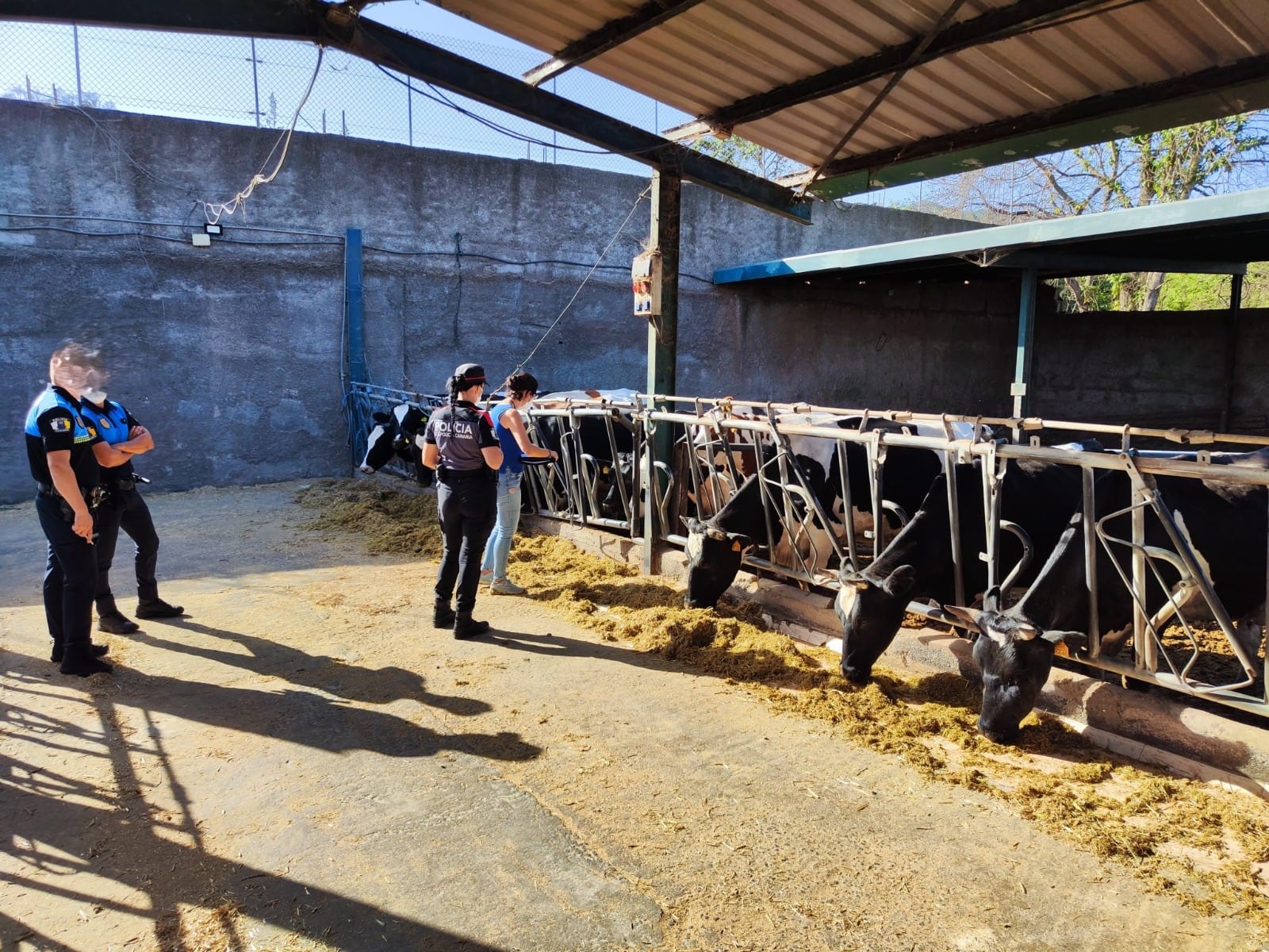 La Policía Autonómica localiza una gran cantidad de cadáveres de animales en una granja del norte de Tenerife (Policía Canaria).