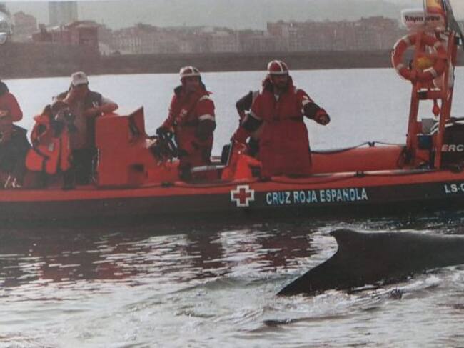 Voluntarios de CEPESMA colaboran con Cruz Roja en la playa de San Lorenzo