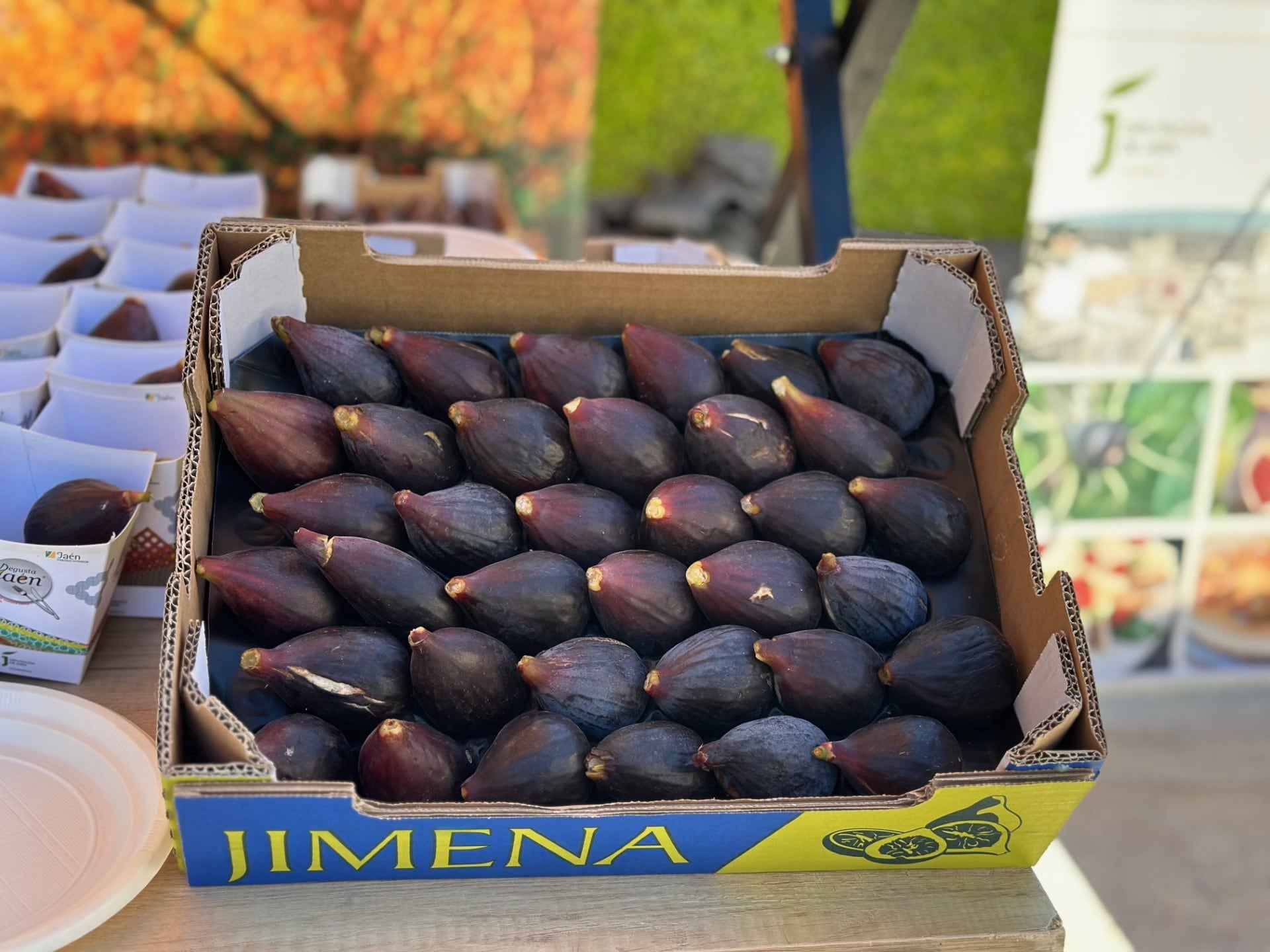 Muestra de la Breva de Jimena.