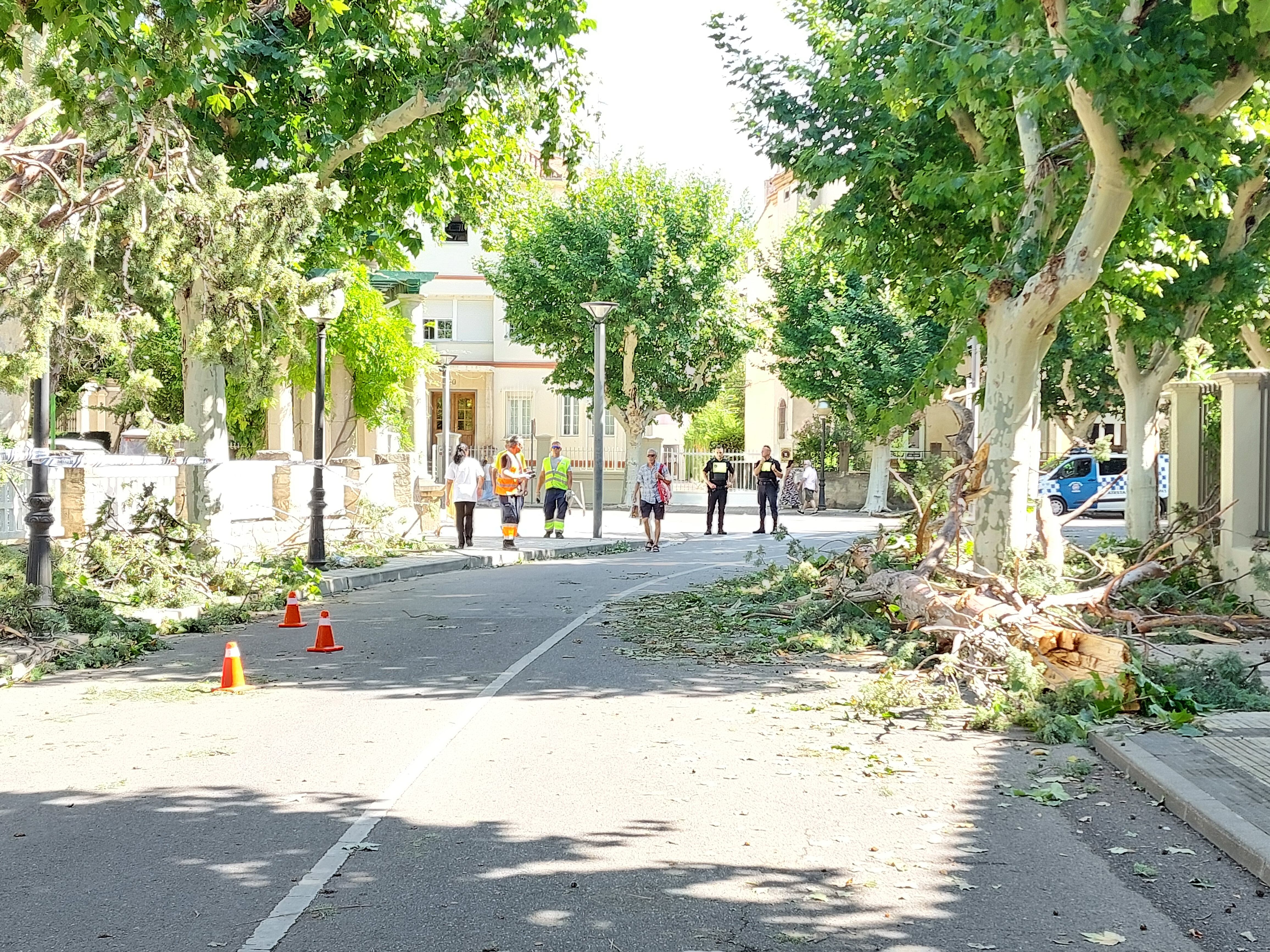 Algunas calles todavía estaban con ramas de árboles este viernes por la mañana tras la fuerte tormenta del jueves en Huesca