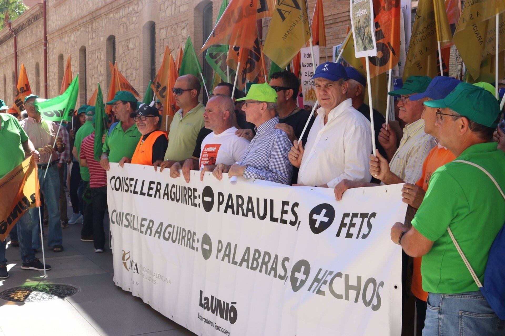 La Unió Llauradora i Ramadera, la Asociación Valenciana de Agricultores (AVA-ASAJA) y CCPV-COAG-- se han concentrado este viernes ante las puertas de la Conselleria de Agricultura