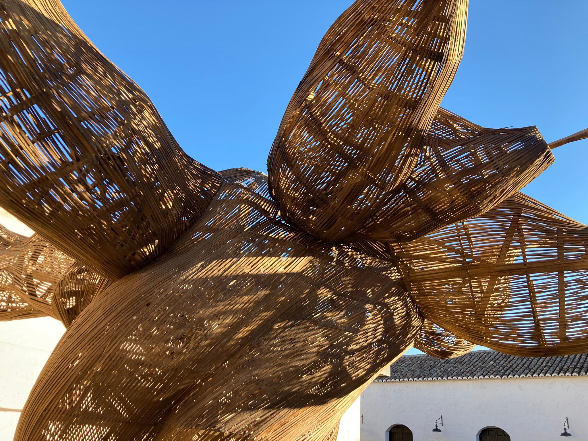 Detalle de la gran cepa, protagonista en el stand de FITUR de Castilla-La Mancha, ya está instalada en el patio del Museo del Vino de Valdepeñas