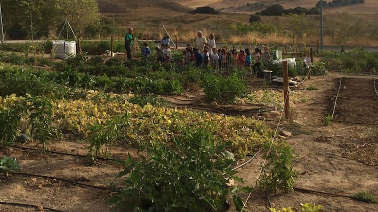 Menús de comida casera y guarderías: las alternativas para mantener los conventos de Toledo