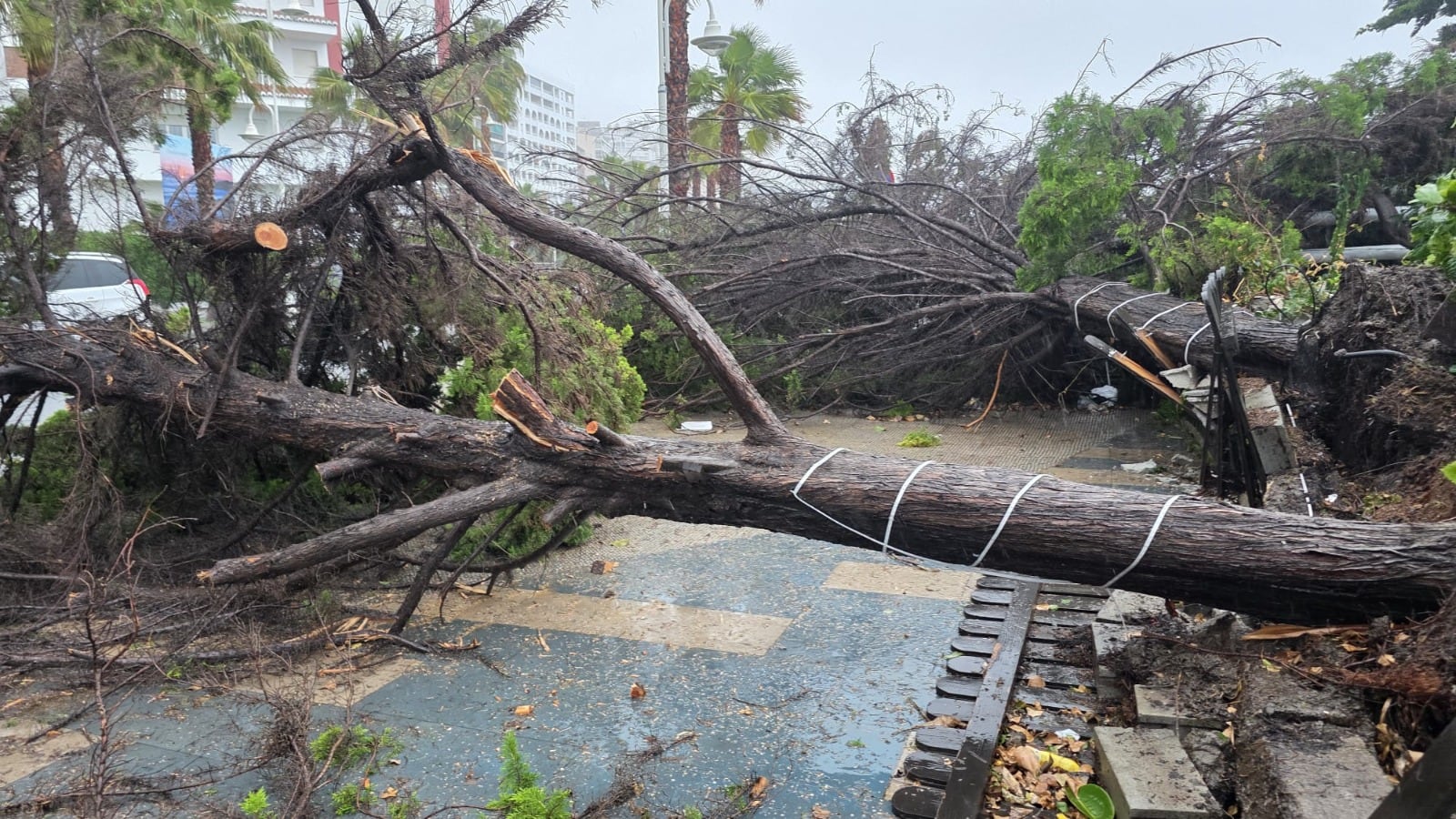 Daños provocados por el temporal de lluvia y viento en Almuñécar (Granada)