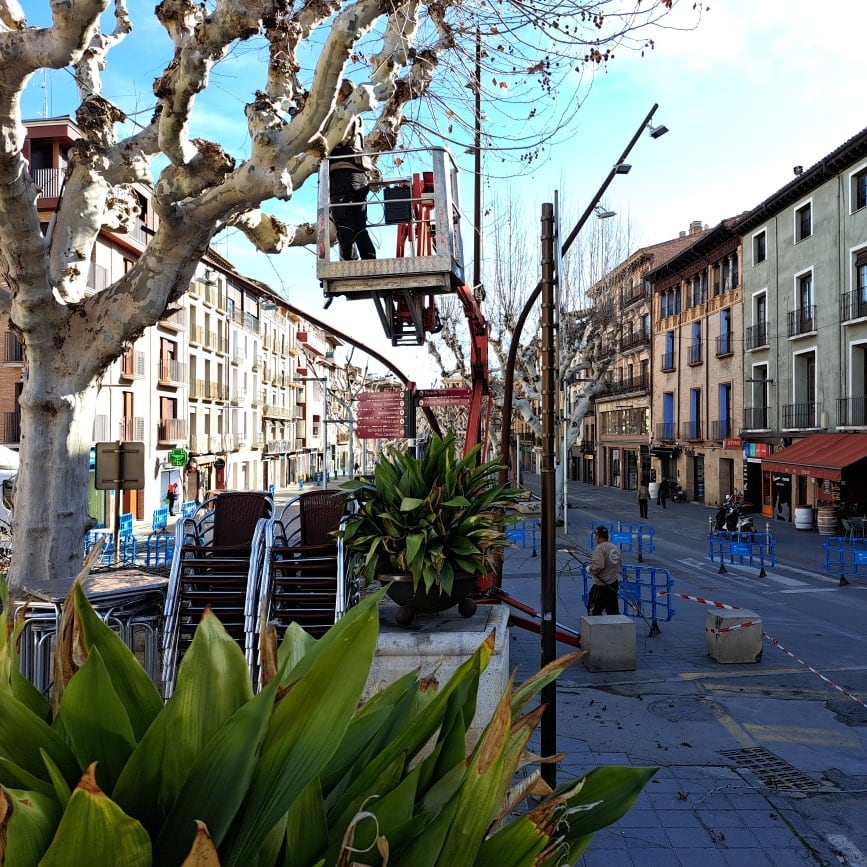 Poda en Barbastro